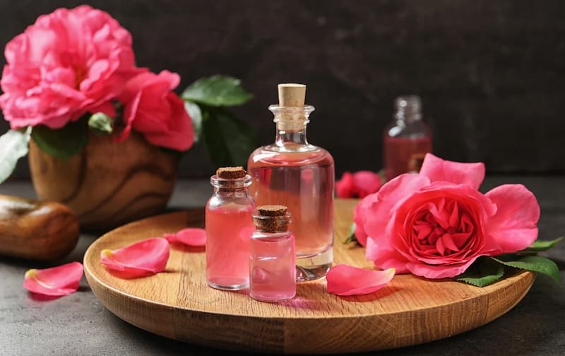 گلاب ربیع لوکس با کیفیت ممتاز و خلوص بالا